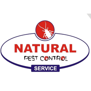 google-my-business-clients